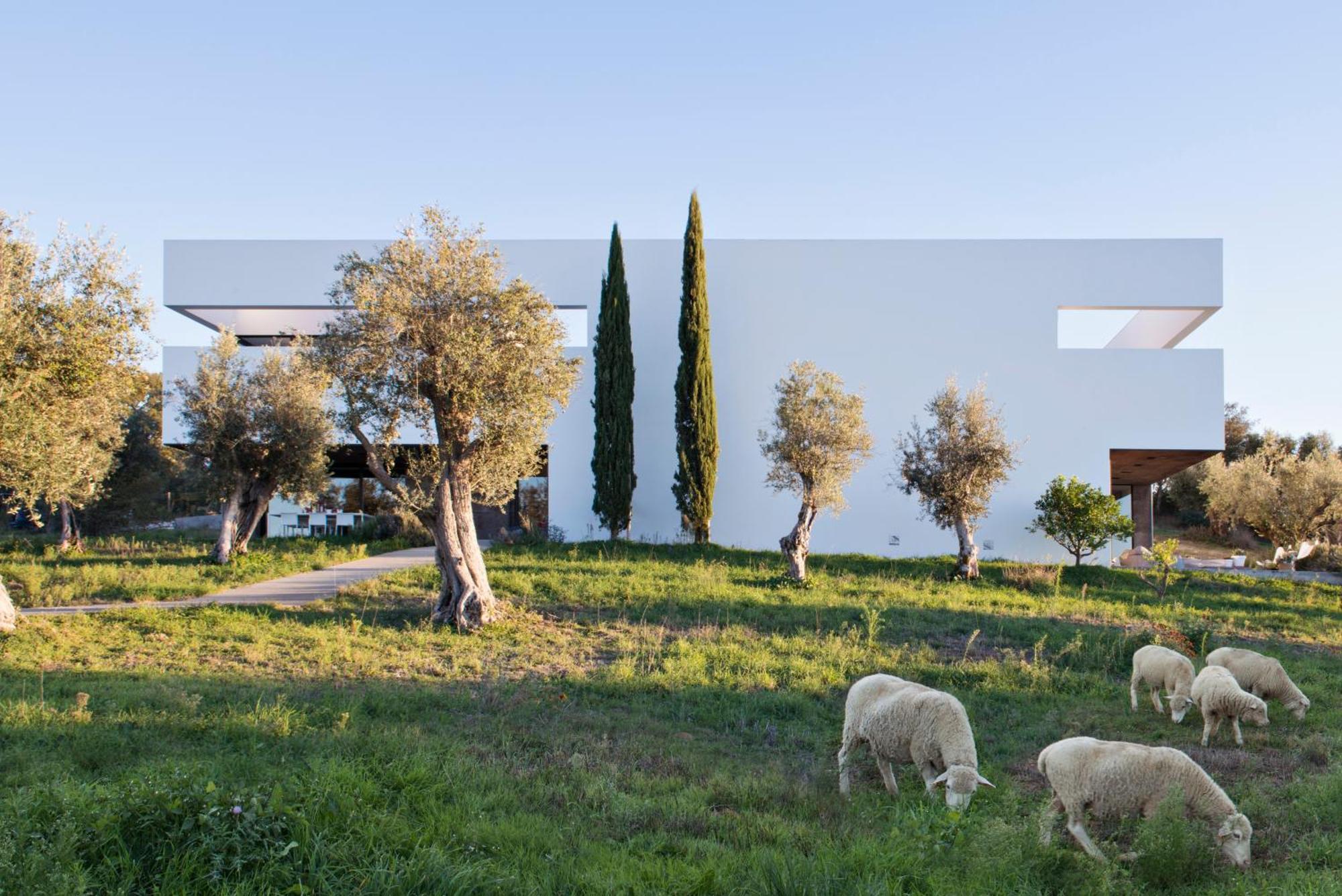 Villa Extramuros Arraiolos Εξωτερικό φωτογραφία